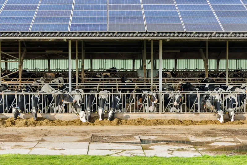 Hangar agricole équipé de panneaux photovoltaïques — France